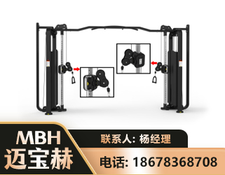 普洱大飞鸟训练器